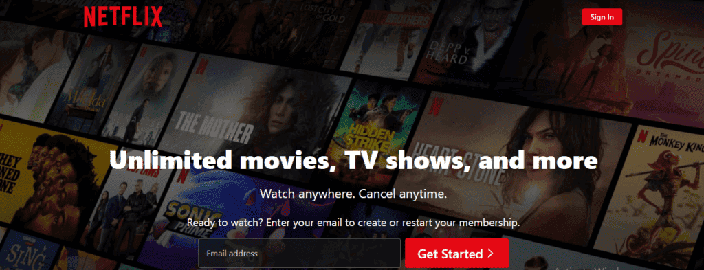Email List Building - Netflix Form Fields Example