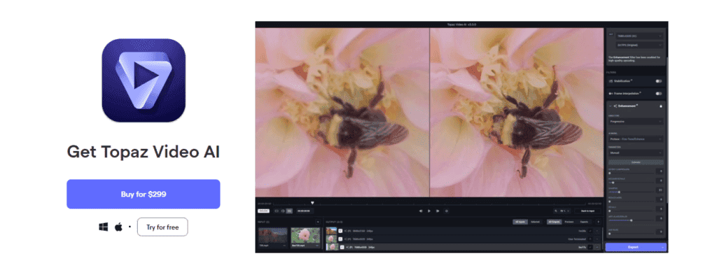 Topaz Video AI Pricing